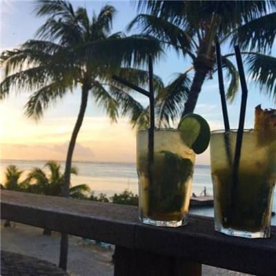 Bob体育登录入口APP下载